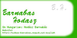 barnabas hodasz business card