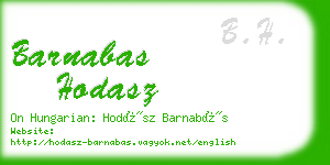 barnabas hodasz business card